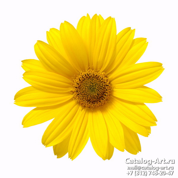 картинки для фотопечати на потолках, идеи, фото, образцы - Потолки с фотопечатью - Желтые цветы 12
